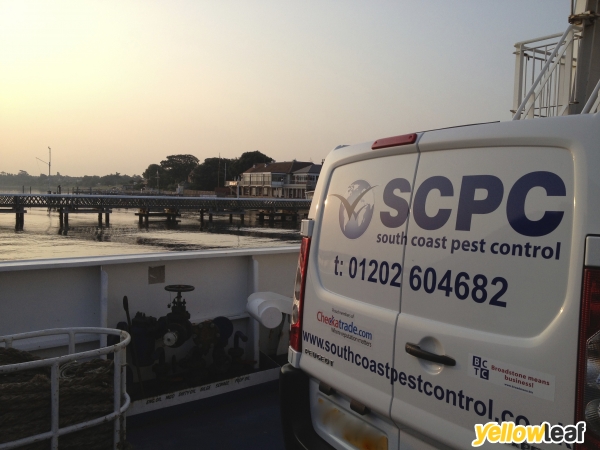 South Coast Pest Control