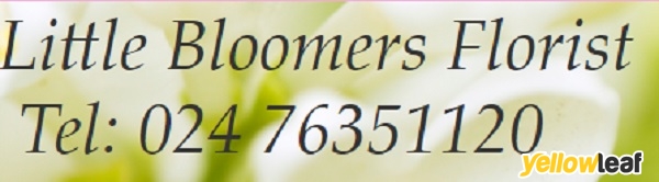 Little Bloomers Florist