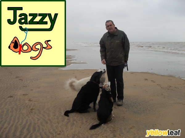 Jazzy Dogs