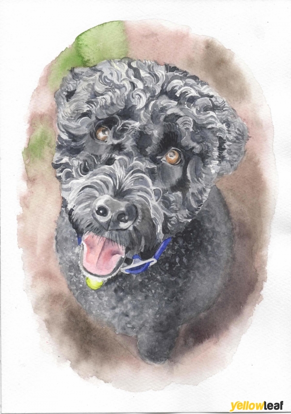 Pet Portraits