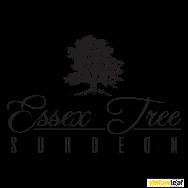 Essex Tree Surgeon