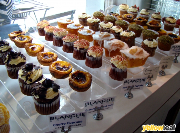 Blanche Eatery