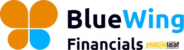 BlueWing Financials