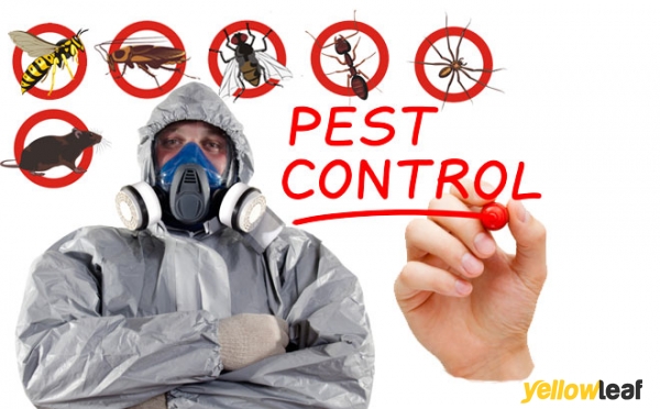 North Essex Pest Control