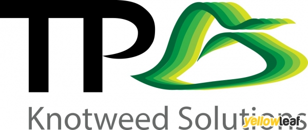 TP Knotweed Solutions