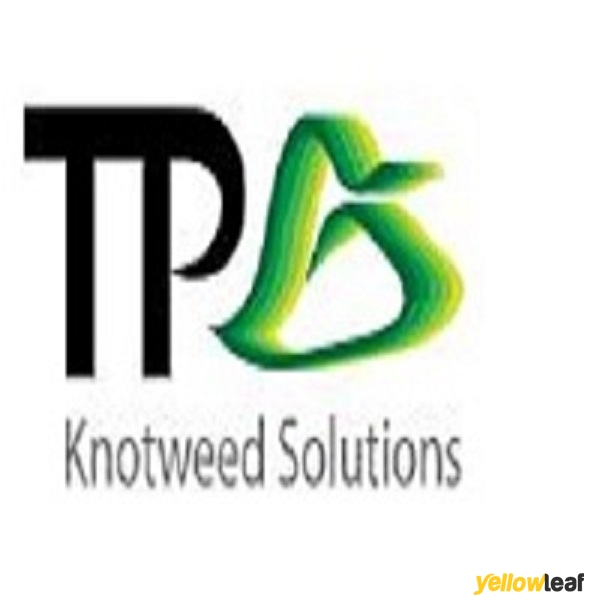 TP Knotweed Solutions