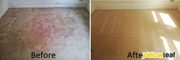 Herts Carpet Cleaning