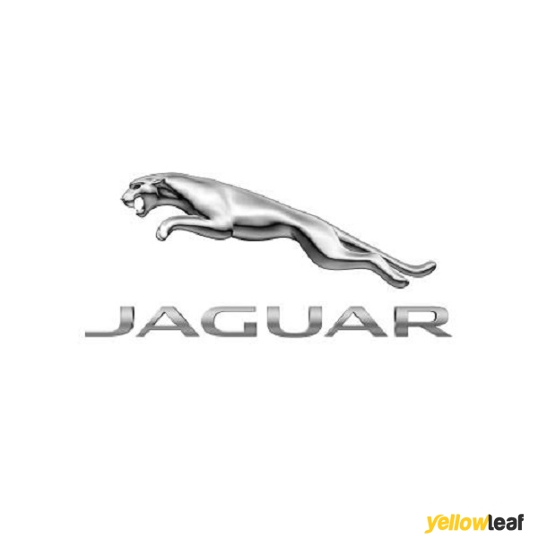 Jardine Jaguar Reading