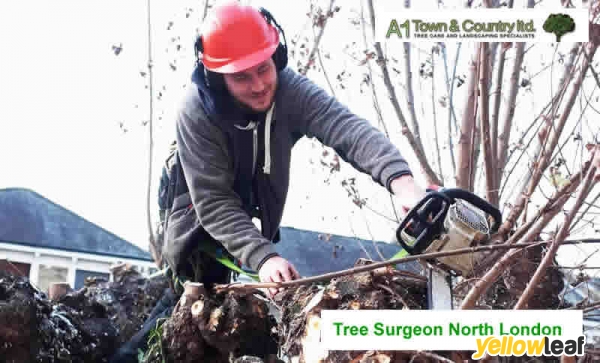 A1 Town and Country Tree Care Ltd