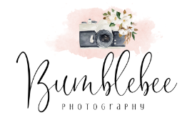 Bumblebee Photography