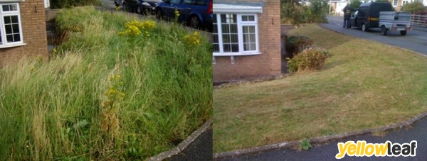 Benjamin O'neill Grounds Maintenance