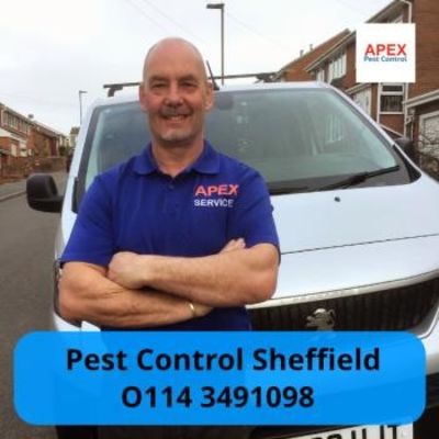 Apex Pest Control