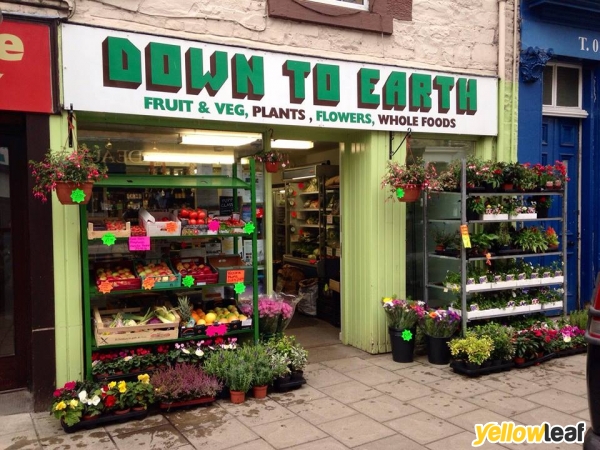 Down To Earth Foods Ltd