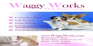 Waggyworks