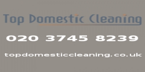 Top Domestic Cleaning London