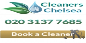 Professional Cleaners Chelsea