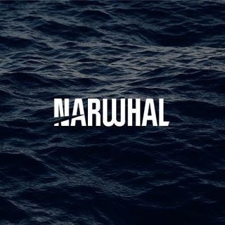 Narwhal Media Group