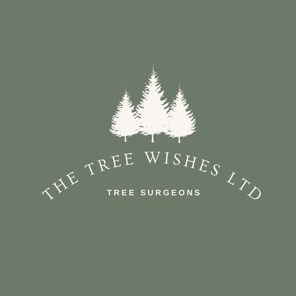  The Tree Wishes LTD