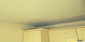 Toms Plastering